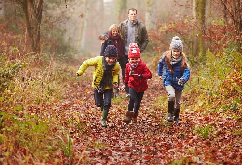 Familie mit Kindern geht im Herbst im Wald spazieren.